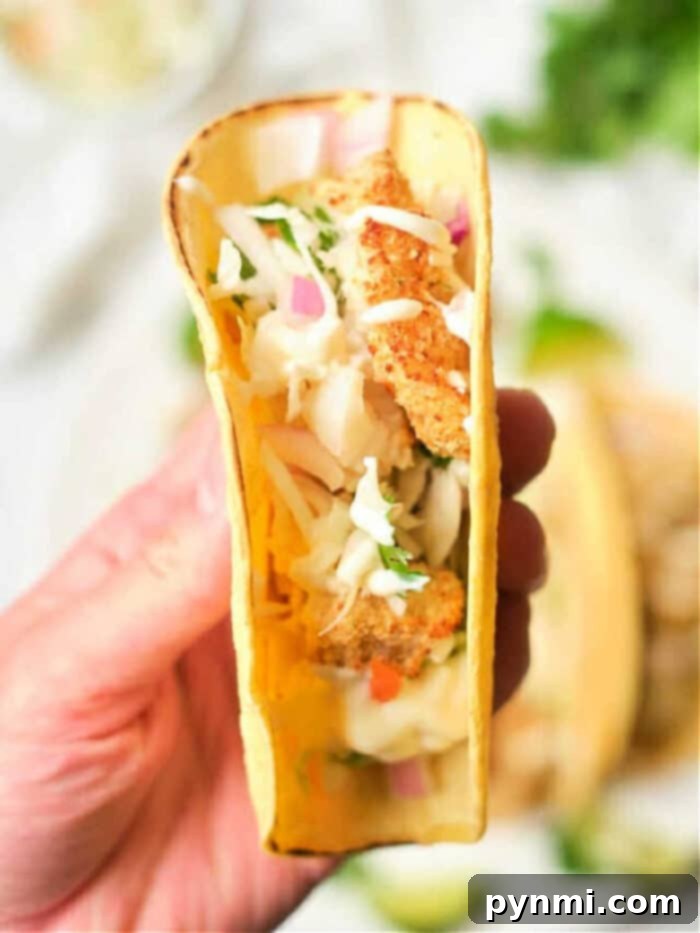 fish fry tacos - Crispy fried fish served in tacos with fresh toppings
