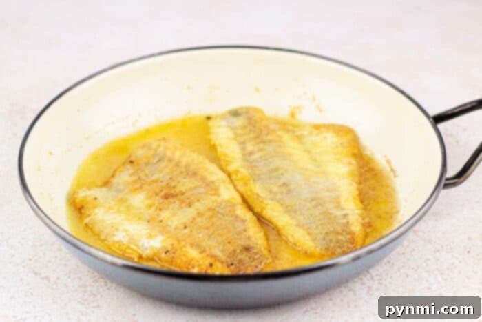 pan fried fish - Golden brown fish fillets in a skillet