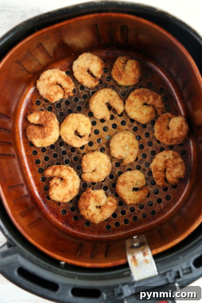 Get That Crunch Back Air Fry Your Leftover Fried Fish 6 reheating shrimp in an air fryer basket, golden brown and perfectly spaced, much like when you reheat fried fish in an air fryer to achieve that crispy finish.