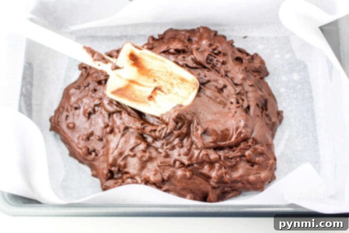 Fudgy Brownies
