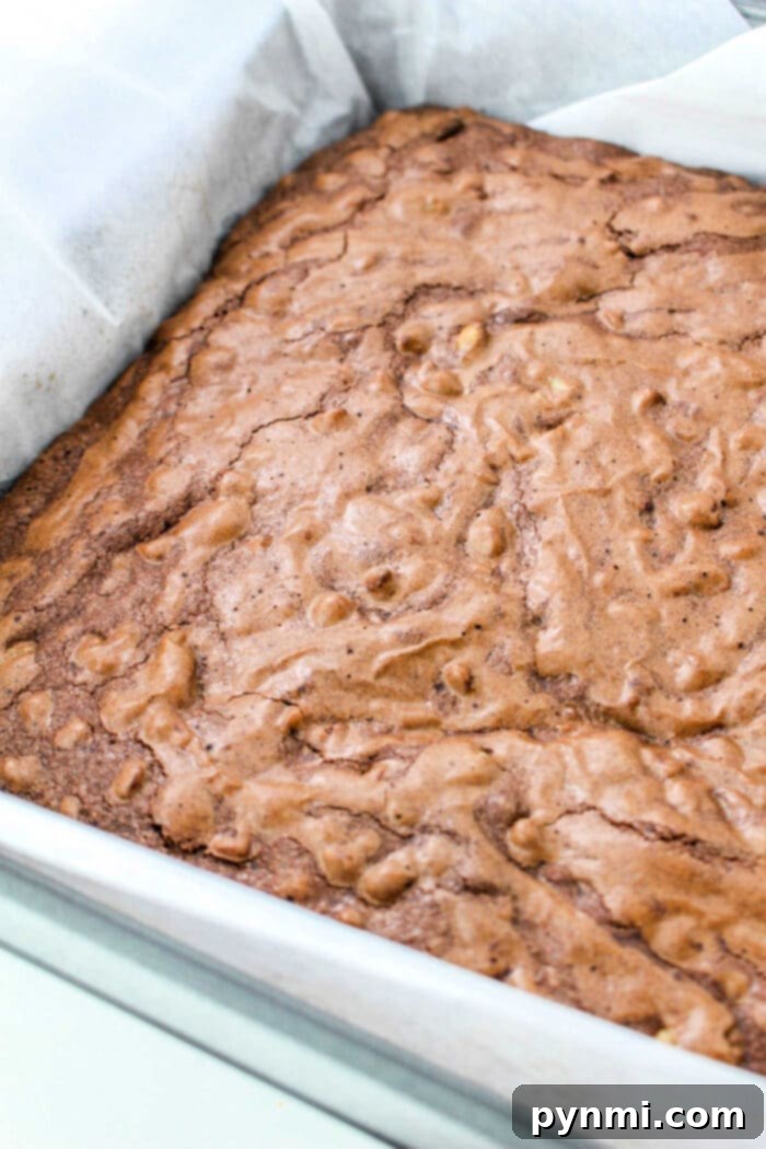 Tik Tok Brownies