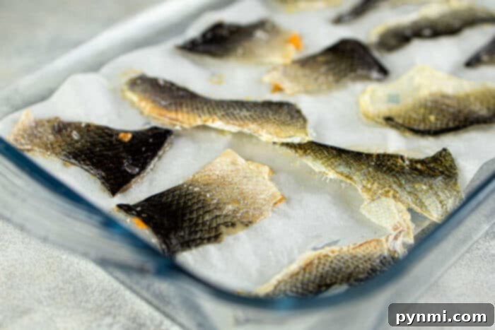 Golden Fish Skin Cracklings 5 A tempting display of fried fish skins, seasoned and ready to be served as an appetizer or snack.