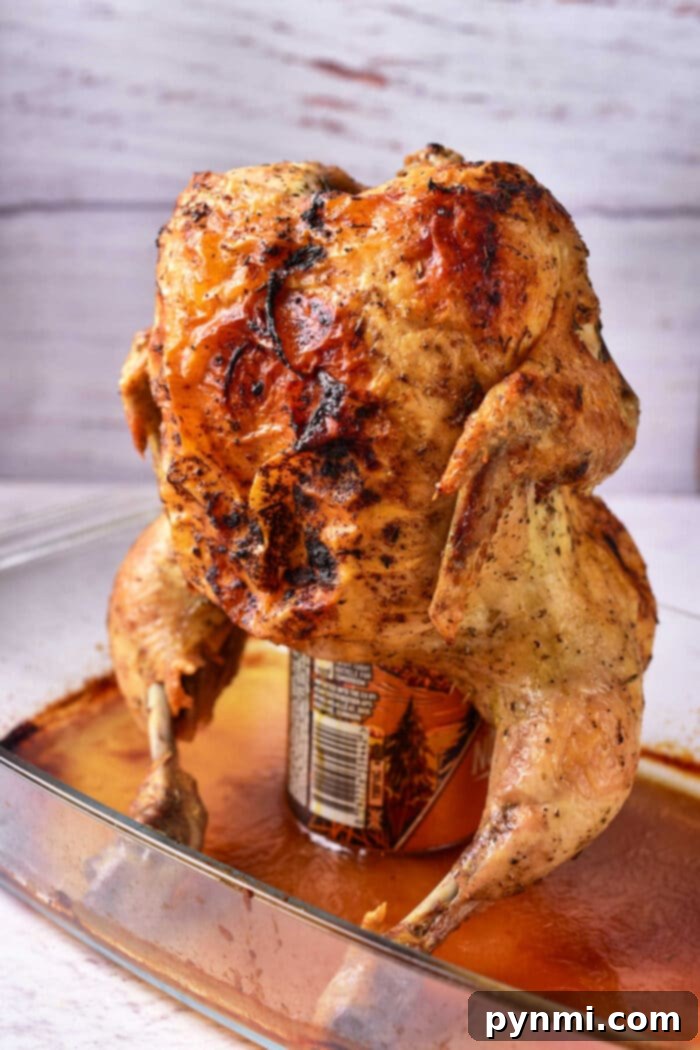 Beer Can Chicken in Oven: a whole chicken perfectly roasted upright on a beer can, showcasing golden-brown crispy skin.