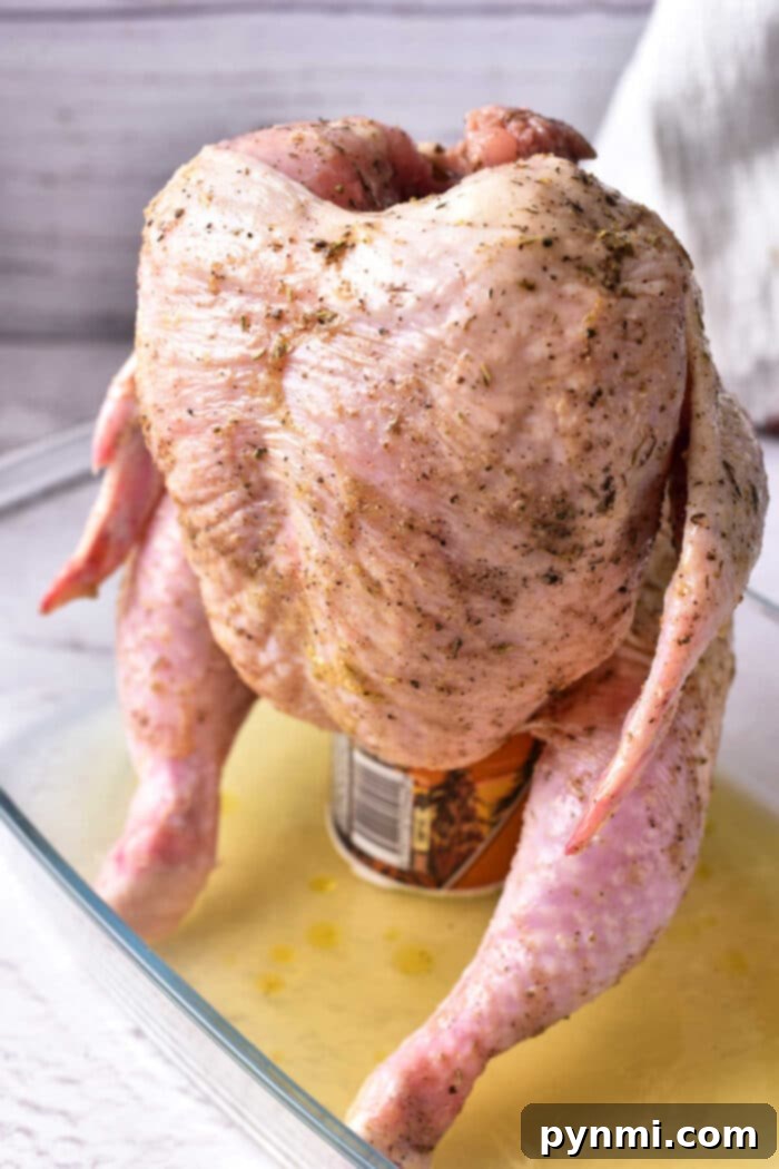 Beer Can Chicken Oven: a raw, seasoned chicken positioned on a chicken throne with a beer can, ready for baking.