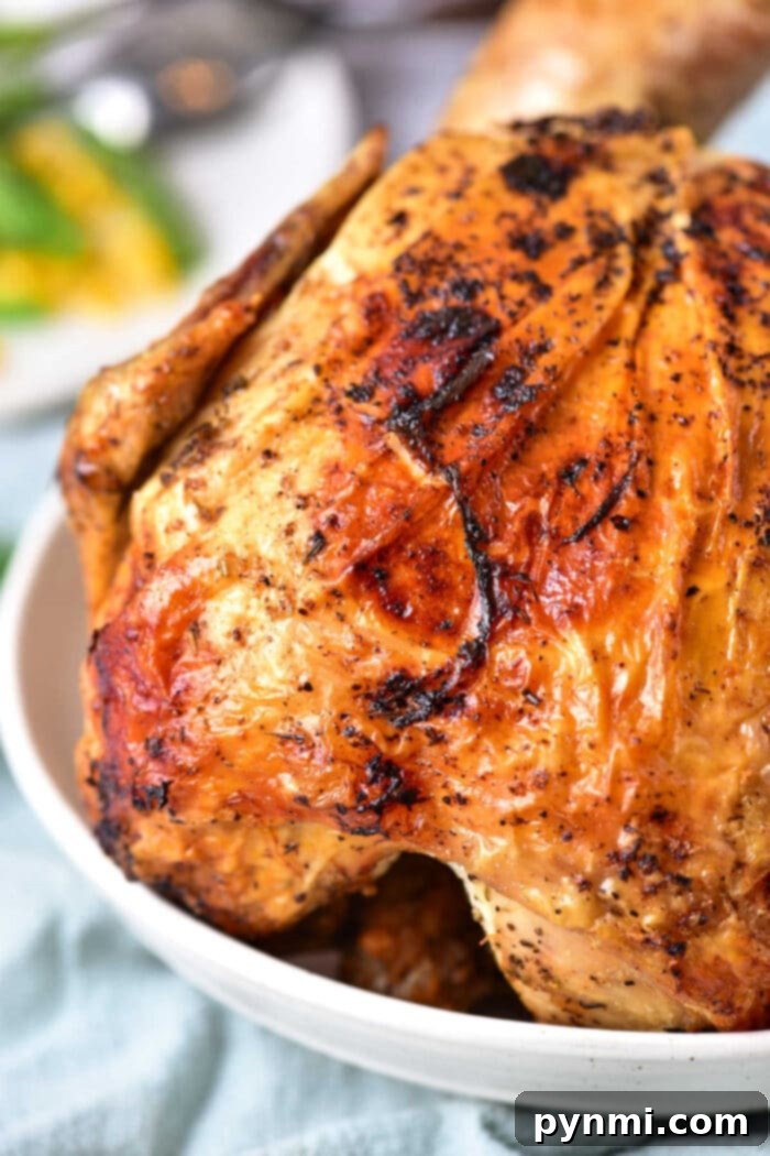 Beer Can Chicken Recipe Oven: a close-up of the perfectly cooked chicken, showcasing its crispy skin texture and rich color.