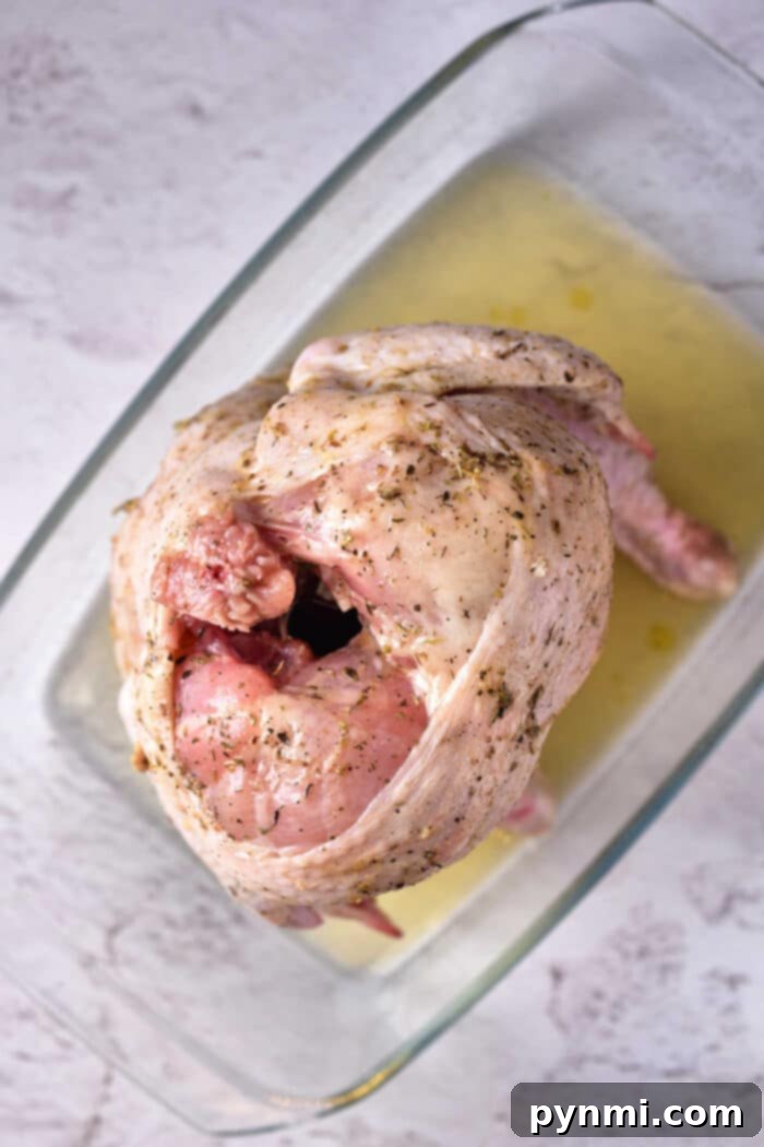 Raw seasoned Beer Can Chicken in the Oven, sits ready in a glass baking dish on a light surface, prepped for roasting.