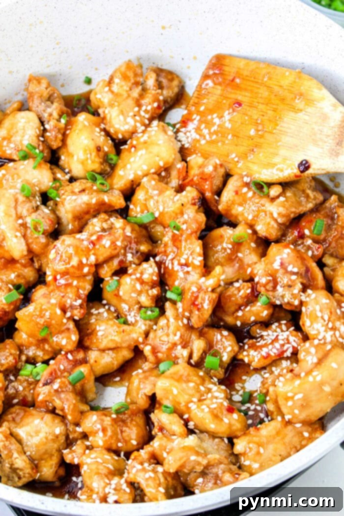 Sticky Honey Garlic Chicken 5 Plated Honey Garlic Chicken Bites with no breading