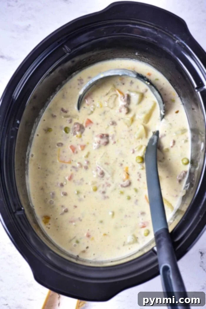Baked Potato Soup with Ground Beef