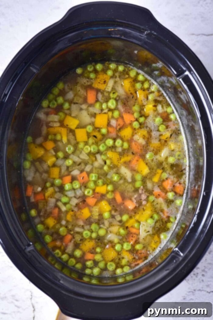 ground beef soup in crockpot