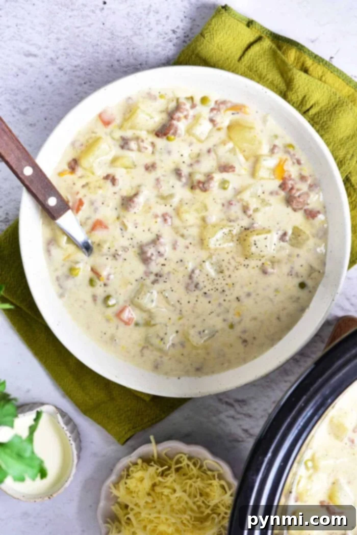 Crockpot Creamy Potato and Hamburger Soup