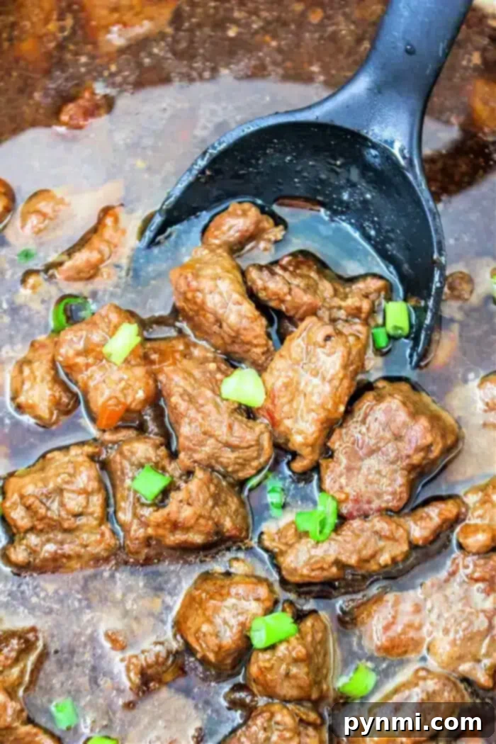 Slow-Braised Beef Bites 2 A ladle filled with succulent Braised Beef Tips in a rich brown sauce, garnished with chopped green onions. The tender beef pieces are submerged in the savory sauce, and the ladle is black.