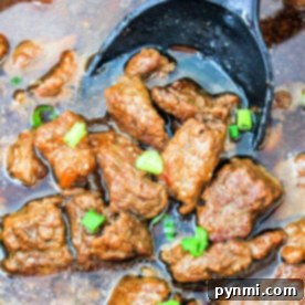 Close-up of braised beef tips stew with succulent chunks of beef, garnished with green onions, in a rich dark brown sauce gracefully cradled by a black ladle.