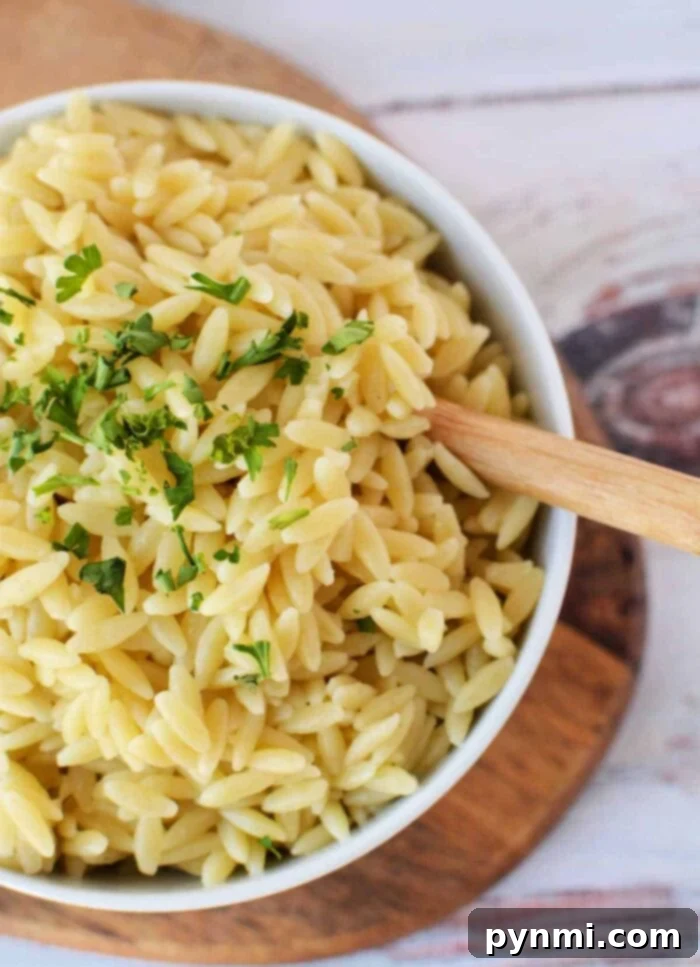 Cooking Orzo Perfectly 2 How do You Cook Orzo