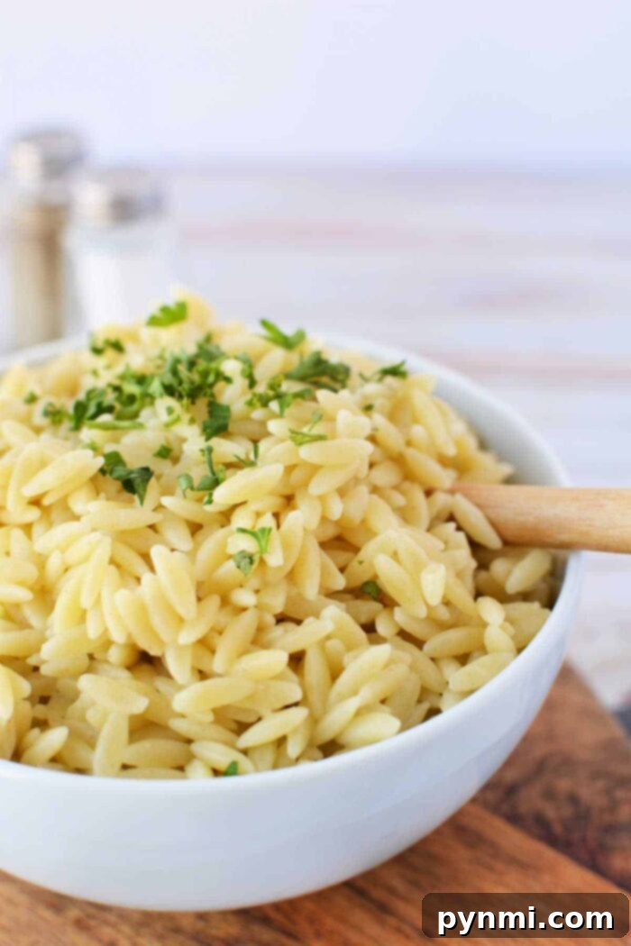 Cooking Orzo Perfectly 6 How Long to Cook Orzo