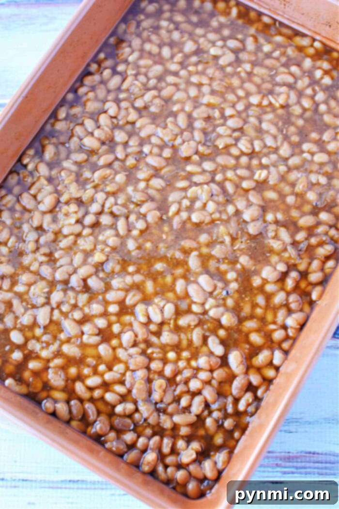 best beans to use to make baked beans