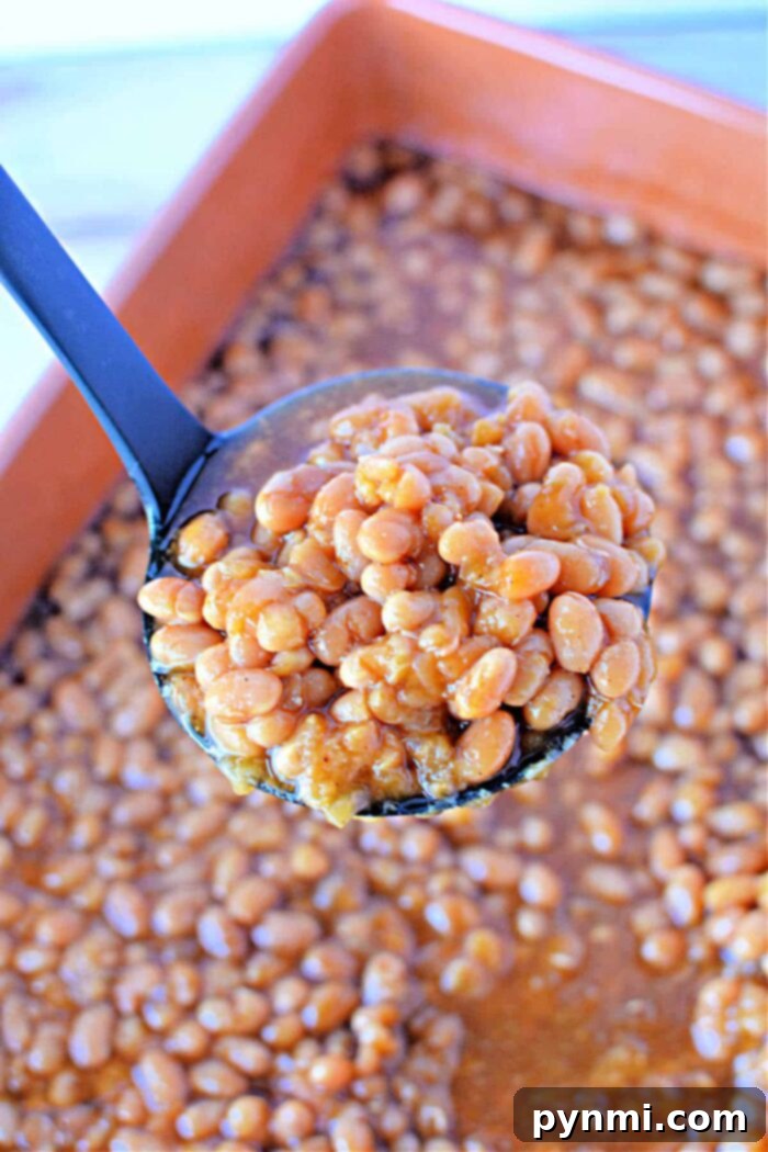 How Long to Cook Baked Beans in Oven at 350