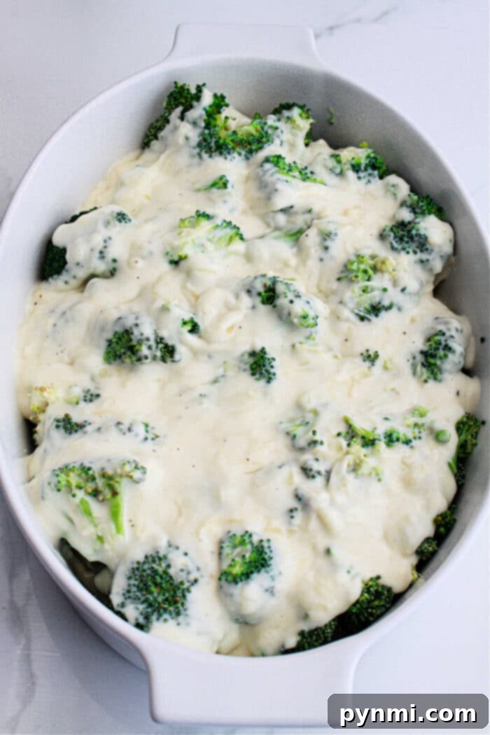 Cheesy Broccoli Bake 6 Au Gratin Broccoli