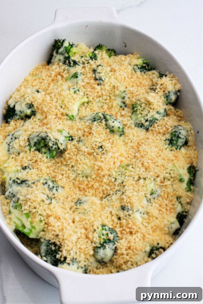 Cheesy Broccoli Bake 7 Cheesy Broccoli Bake