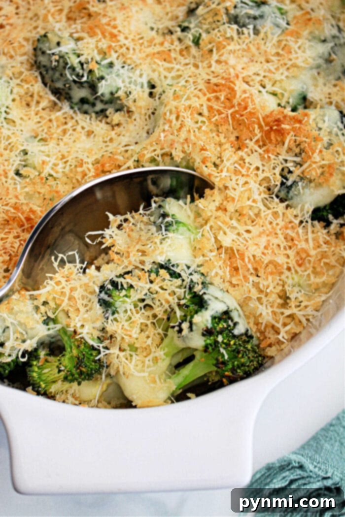 Cheesy Broccoli Bake 8 Broccoli Au Gratin Recipe