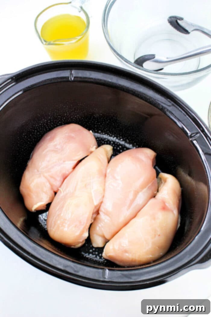 Slow Cooker Chicken and Stuffing