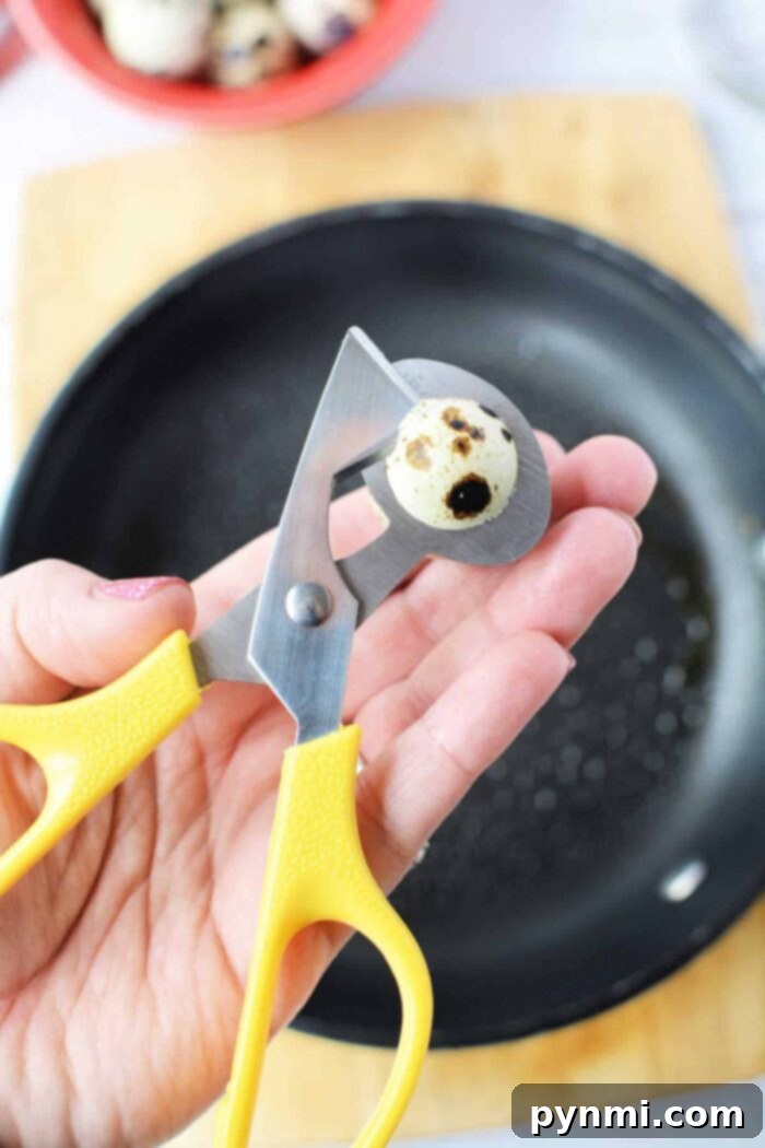 The Ultimate Quail Egg Cooking Guide 5 How to Crack Open Quail Eggs