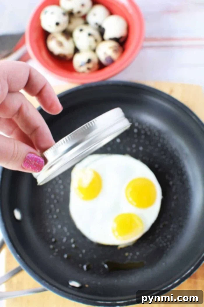 The Ultimate Quail Egg Cooking Guide 6 best way to cook quail eggs