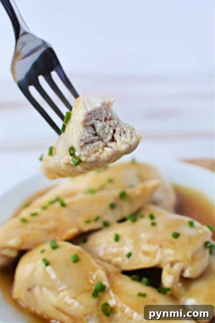 A serving of perfectly boiled chicken tenders, moist and ready for a savory sauce, demonstrating the ideal outcome of careful preparation.