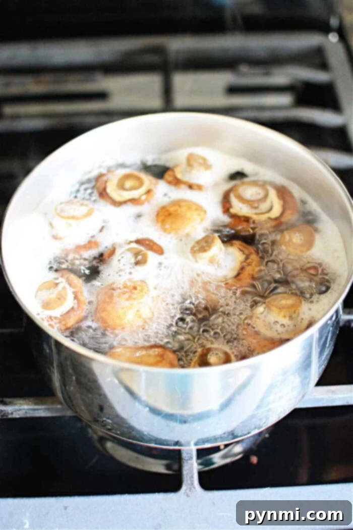 Simmered Fungi 2 How Long to Boil Mushrooms on Stove
