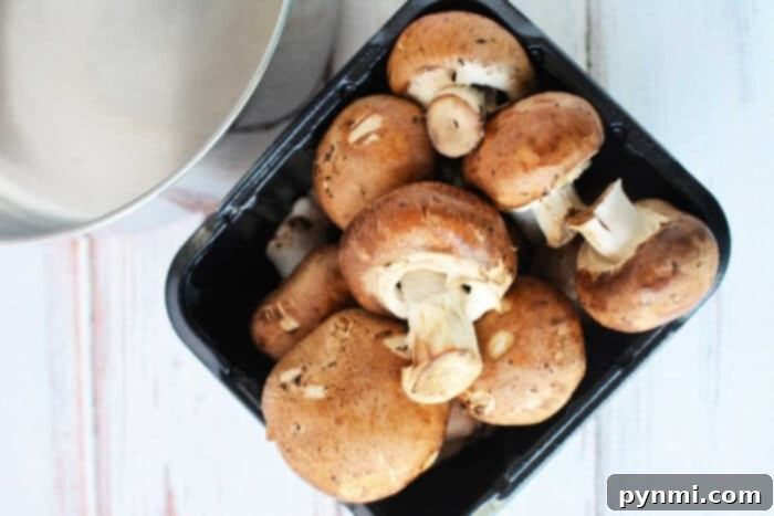 Simmered Fungi 4 best way to cook baby bella mushrooms