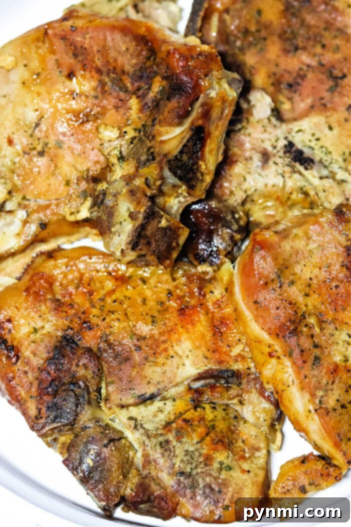 Perfectly Broiled Pork Chops with Dry Rub
