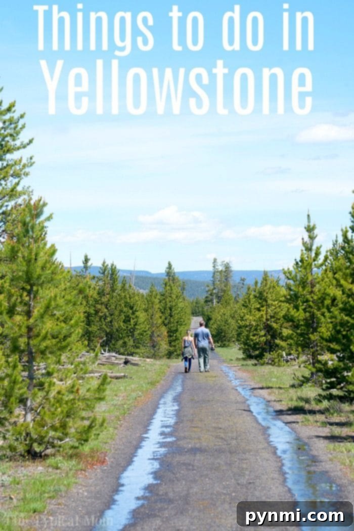 planning a trip to yellowstone