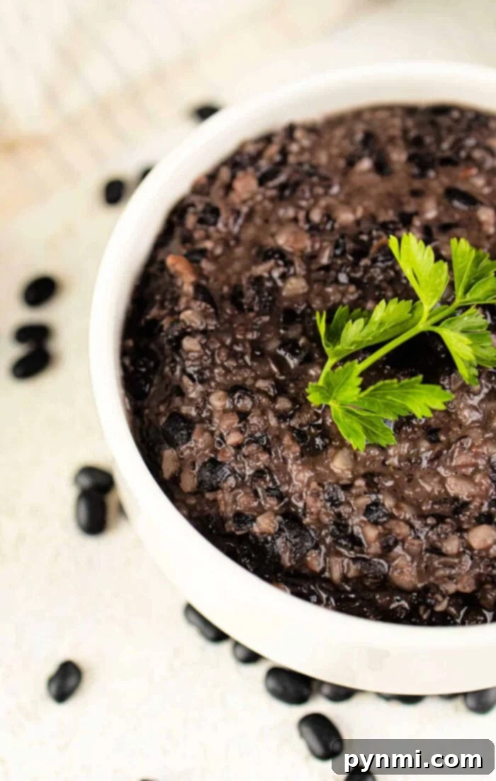 Quick & Easy Refried Black Beans from a Can 2 Refried Black Beans Recipe