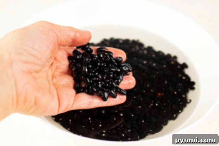 Quick & Easy Refried Black Beans from a Can 3 dried black beans