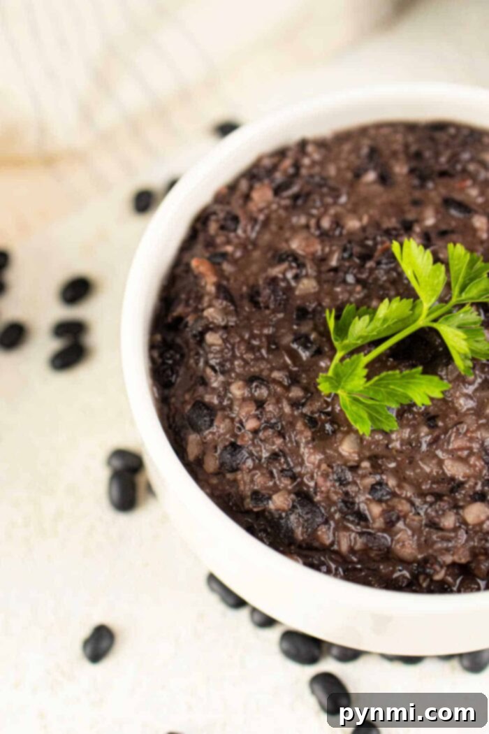 Elevate Your Canned Refried Beans 5 A white bowl of flavorful mashed black bean garnished with parsley is surrounded by scattered black beans, offering an enticing idea on how to make canned refried beans better by blending them into this rich creation.