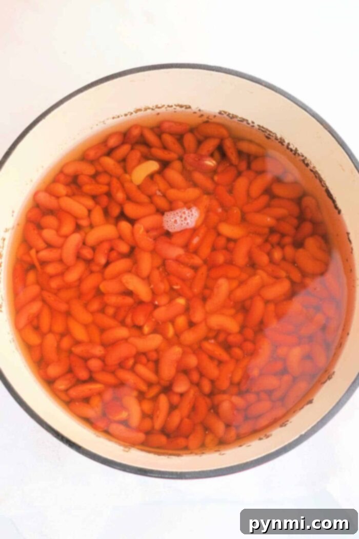 Mastering Dried Bean Chili 3 how long to soak dry beans to make chili, showing dried beans in a bowl of water