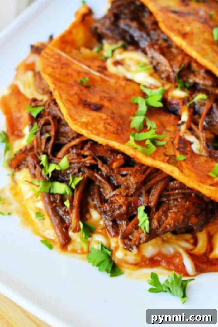 A close-up of three short rib tacos on a white plate. The tacos are filled with shredded meat and melted cheese, topped with chopped fresh cilantro. A bowl of dipping sauce is partially visible in the background.