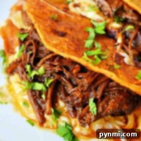 A close-up of three short rib tacos on a white plate. The tacos are filled with shredded meat and melted cheese, topped with chopped fresh cilantro. A bowl of dipping sauce is partially visible in the background.