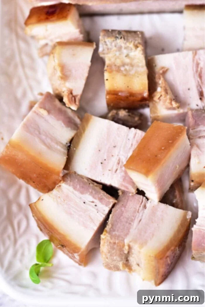 How to Make Pork Belly Confit: Golden-brown, slow-cooked pork belly slices arranged beautifully on a plate, garnished with fresh herbs, showcasing the rich textures and deep flavors achieved through the confit method.