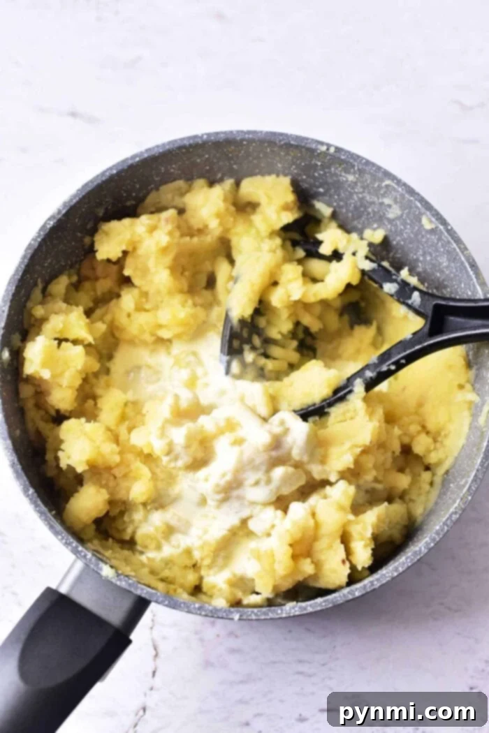 Slow-Cooked Garlic Mashed Perfection 6 Duck Confit Mashed Potatoes