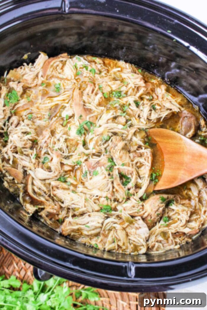 Zesty Green Chili Slow Cooker Chicken 2 Crockpot Green Chili Chicken simmering in a slow cooker, ready to be shredded.