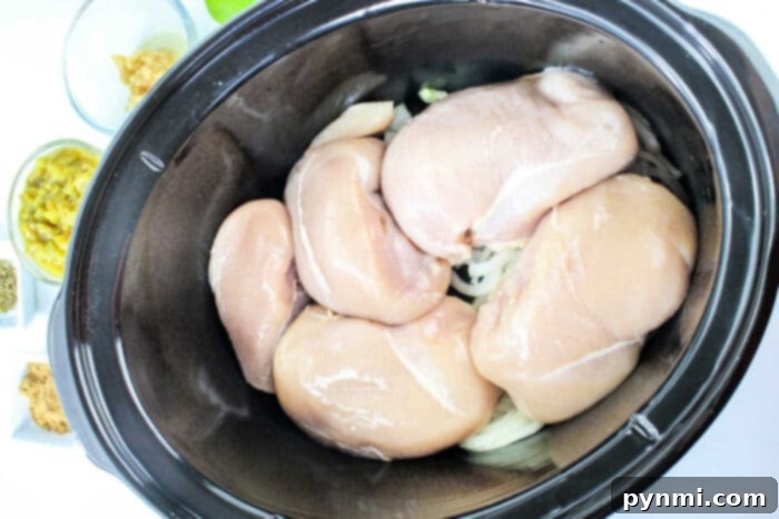 Zesty Green Chili Slow Cooker Chicken 4 Green chiles and chicken, lightly seasoned, before cooking.
