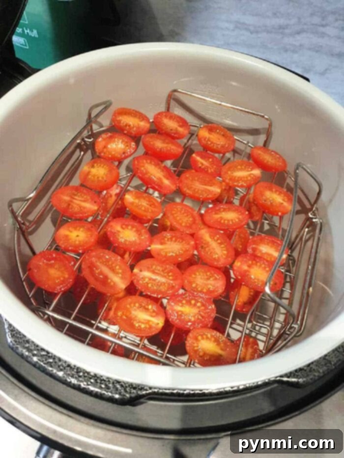 Perfectly Roasted Ninja Foodi Tomatoes 4 A vibrant display of roasted cherry tomatoes, artfully garnished with fresh basil, ready to be served.
