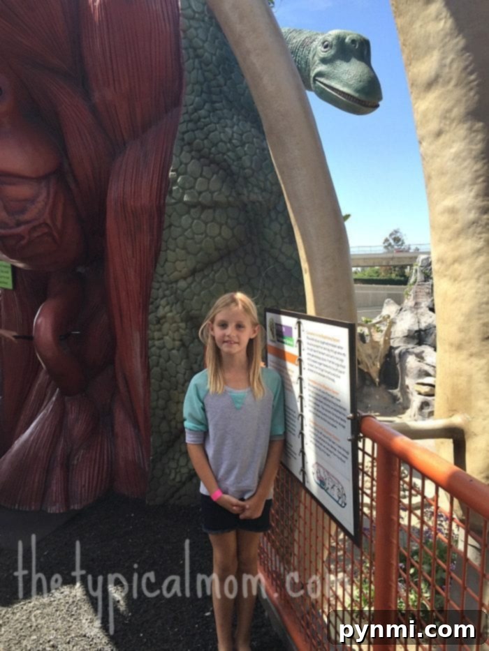 Explore the engaging outdoor exhibits at Discovery Cube OC in Santa Ana, Orange County's premier children's science museum. The exterior of Discovery Science Center Santa Ana, featuring a striking rocket exhibit and dinosaur sculptures, inviting families into a world of science and exploration.