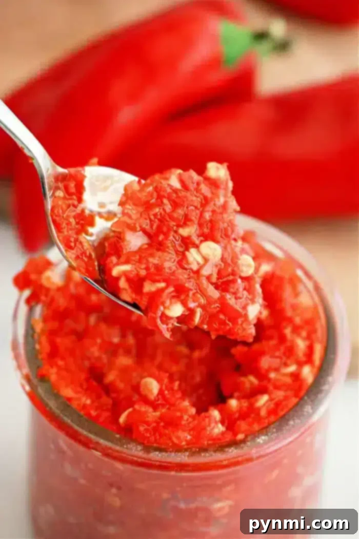 Fiery Garlic Chili Paste 2 A spoonful of bright red homemade garlic chili paste is lifted from a jar, showcasing its chunky texture and visible chili seeds. In the background, fresh red peppers are partially visible on a rustic wooden surface, hinting at the natural ingredients used in this vibrant recipe.