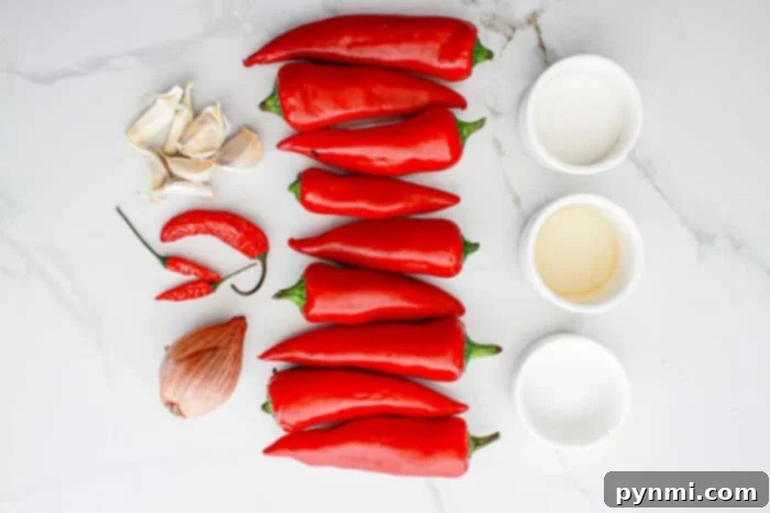Fiery Garlic Chili Paste 4 A vibrant selection of ingredients for a Garlic Chili Paste recipe is neatly arranged on a white surface, featuring a cluster of garlic cloves, two small red chili peppers, a shallot, several large red chili peppers, and four small white bowls containing various seasonings and liquids.