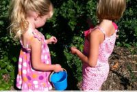 Temecula Blueberry Farm: Pick Your Own Freshness