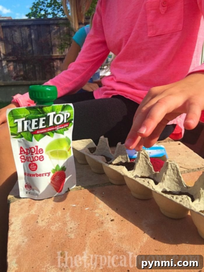 A fully sprouted avocado seed with roots and a stem, demonstrating the successful outcome of a simple gardening activity for kids.