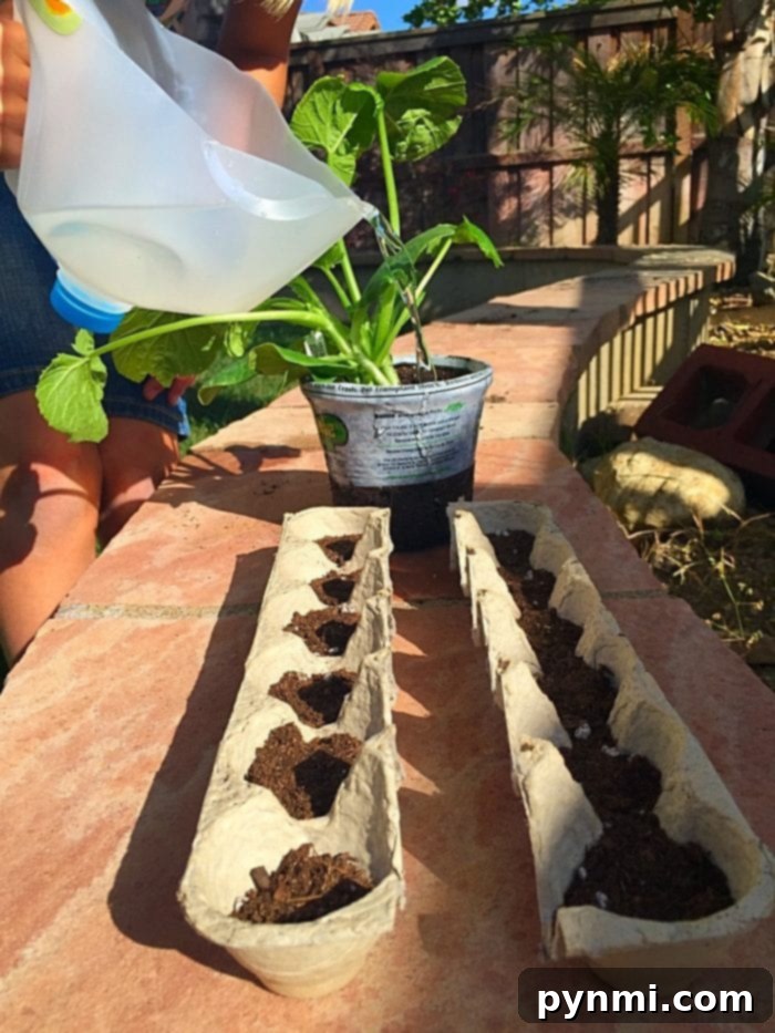 Two egg cartons filled with soil, ready for seeds, with a watering can in the background, illustrating easy gardening activities for kids.