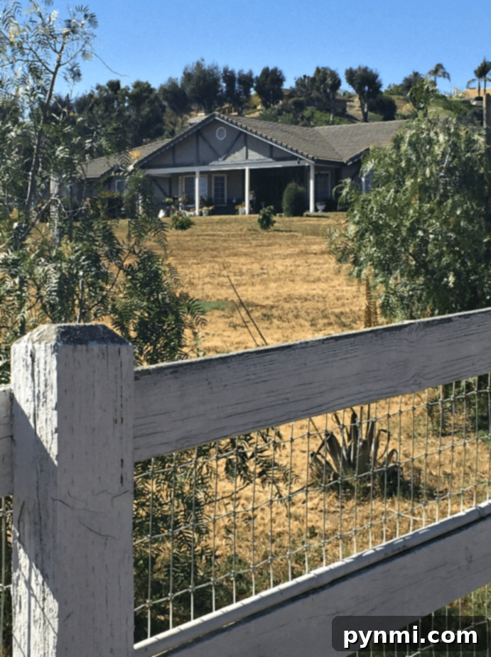 Why California Calls 2 Moving to California with Family