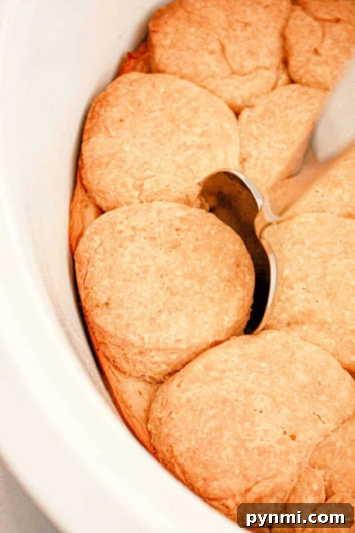 Set-It-and-Forget-It Biscuits and Gravy 2 Golden-brown slow cooker biscuits topped with thick mushroom gravy, served in a dish with a silver spoon resting on one biscuit. The biscuits are arranged closely together, creating an inviting breakfast scene.